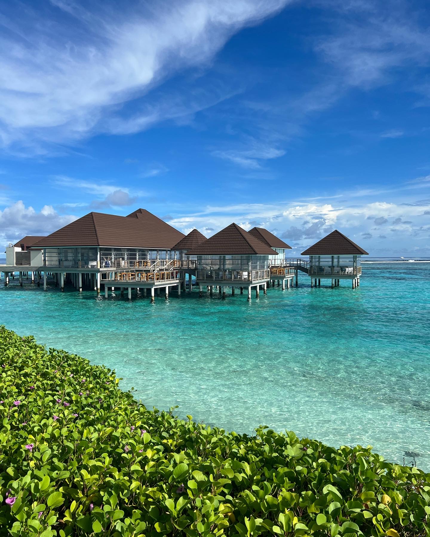 Overwater villas with thatched roofs above a turquoise lagoon in the Maldives